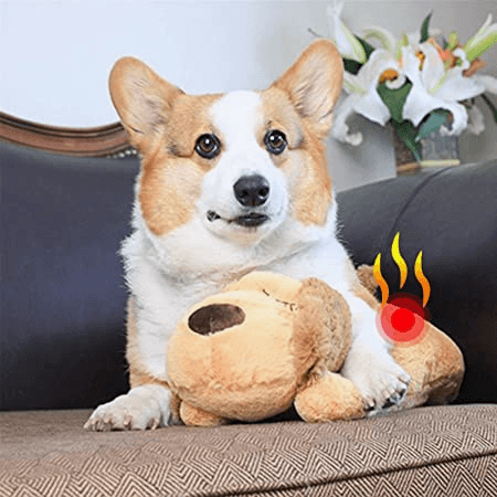 Imagem de Destaque da Seção de Conteúdo